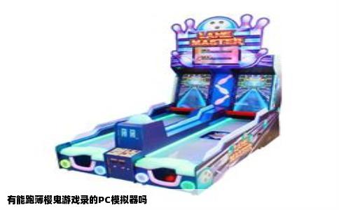 有能跑薄樱鬼游戏录的PC模拟器吗