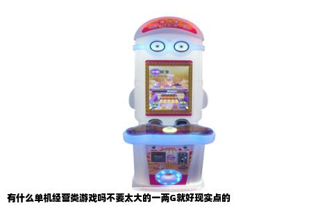 有什么单机经营类游戏吗不要太大的一两G就好现实点的