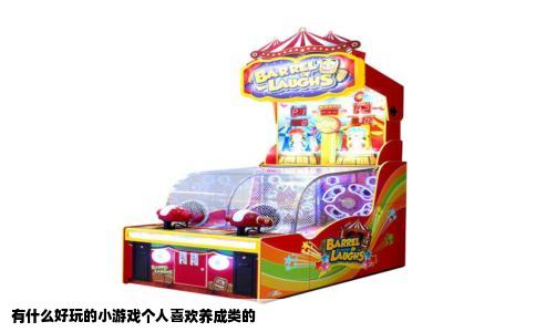 有什么好玩的小游戏个人喜欢养成类的