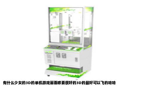 有什么少女的3D的单机游戏画面感要很好的3D的最好可以飞的哈哈