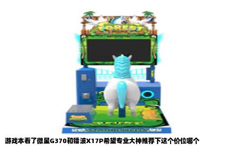 游戏本看了微星G370和镭波X17P希望专业大神推荐下这个价位哪个