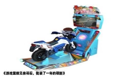《游戏里撞见亲哥后，我装了一年的萌新》