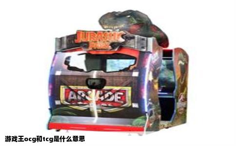 游戏王ocg和tcg是什么意思