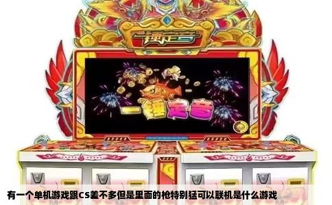 有一个单机游戏跟CS差不多但是里面的枪特别猛可以联机是什么游戏