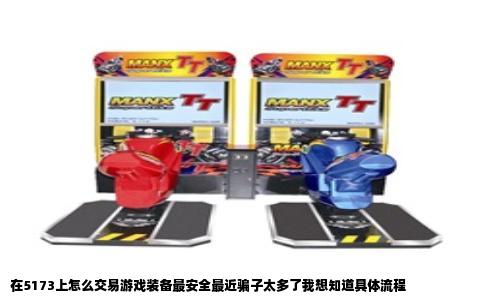 在5173上怎么交易游戏装备最安全最近骗子太多了我想知道具体流程