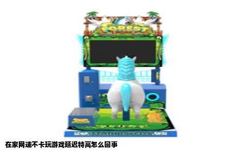 在家网速不卡玩游戏延迟特高怎么回事