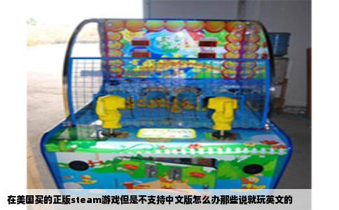 在美国买的正版steam游戏但是不支持中文版怎么办那些说就玩英文的