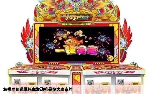 怎样才知道摩托车发动机是多大功率的