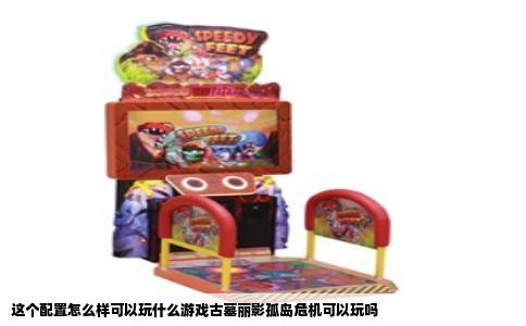 这个配置怎么样可以玩什么游戏古墓丽影孤岛危机可以玩吗