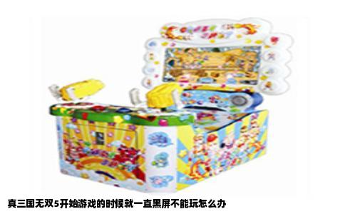 真三国无双5开始游戏的时候就一直黑屏不能玩怎么办