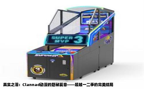 真实之泪：Clannad动漫的隐秘篇章——超越一二季的完美结局
