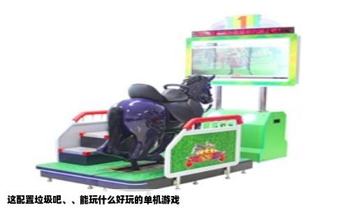这配置垃圾吧、、能玩什么好玩的单机游戏