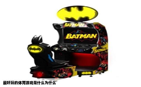 最好玩的体育游戏是什么为什么