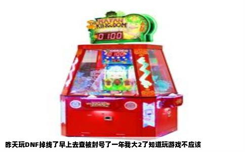 昨天玩DNF掉线了早上去查被封号了一年我大2了知道玩游戏不应该